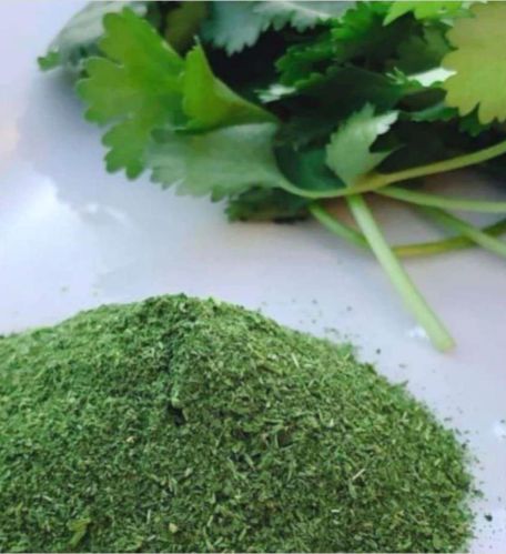 Fresh Coriander Powder, Color : Green for Culinary Seasoning