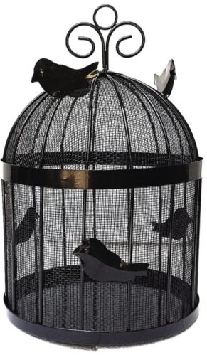 Phoenix Metal Fruit Baskets, Color : Black