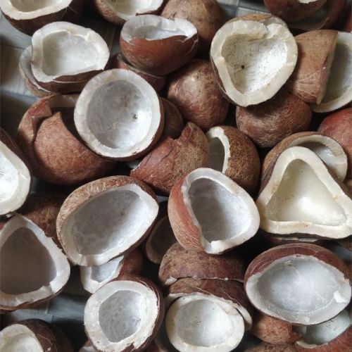 Coconut Oil Form : Liquid