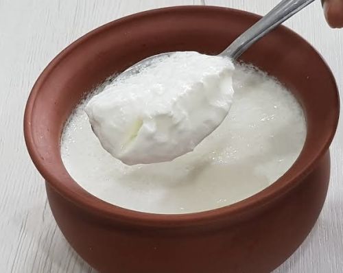 Curd, Color : White, Packaging Size : 0-5 Kg, 5-10 Kg, 100kg