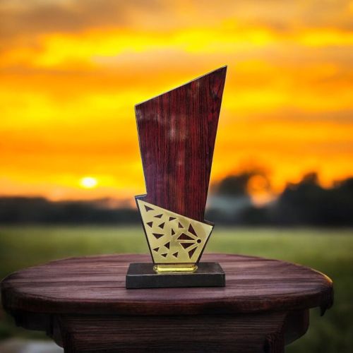 Polished Wooden Trophy, Shape : Customized