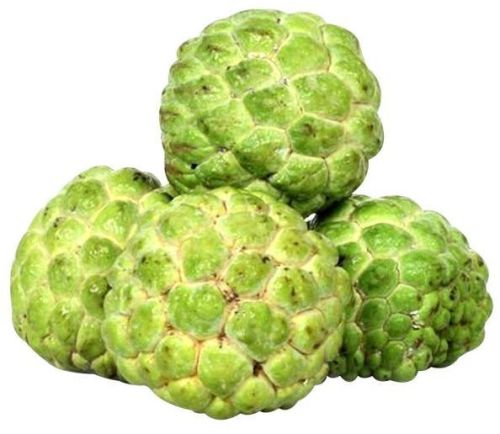 Organic Fresh Custard Apple, Color : Green, Taste : Sour, Sweet