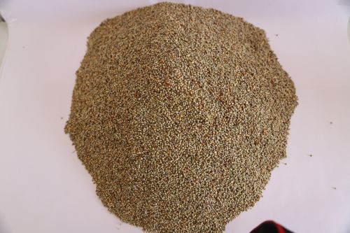 Organic Pearl Millet, Packaging Type : PP Bag, Jute Bag