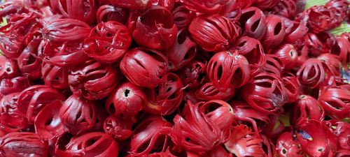 Round Leaf Nutmeg, Certification : Organically Grown