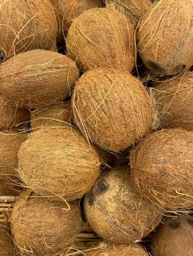 Organic Fully Husked Hard Coconut, Color : Brown