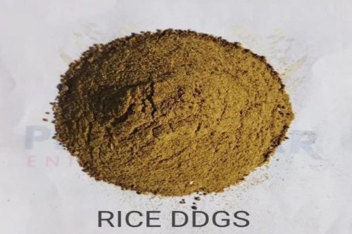 Rice Dried Distillers Grains, Packaging Size : 50 Kg, 25 Kg