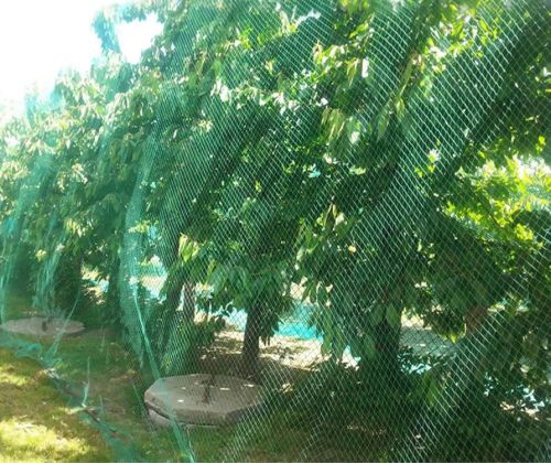 Polypropylene Bird Netting for Garden Protection, Color : Green