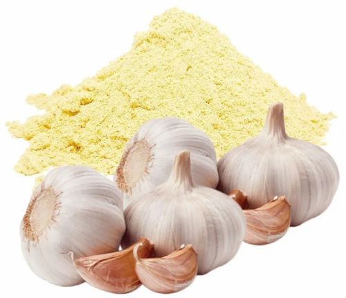 Garlic Powder, Color : Light Beige, Packaging Type : PP Bag