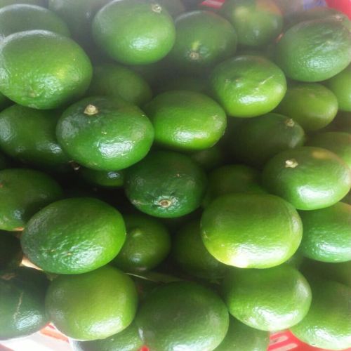 Organic Lemon, Color : Yellow, Grade : Food Grade for Juice, Drinks