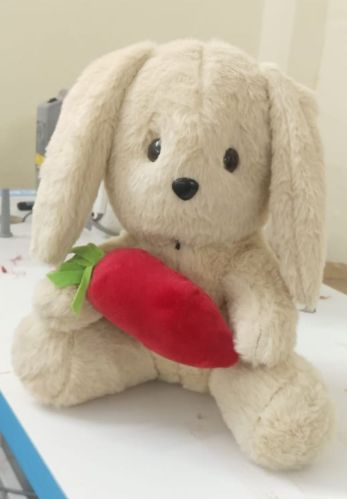 Rabbit with Carrot Stuffed Soft Plush Toy