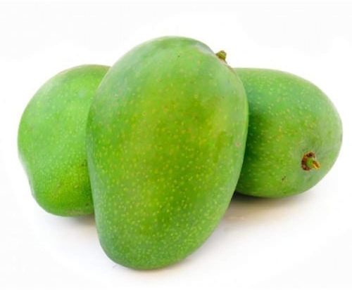 Organic Fresh Raw Mango, Color : Green