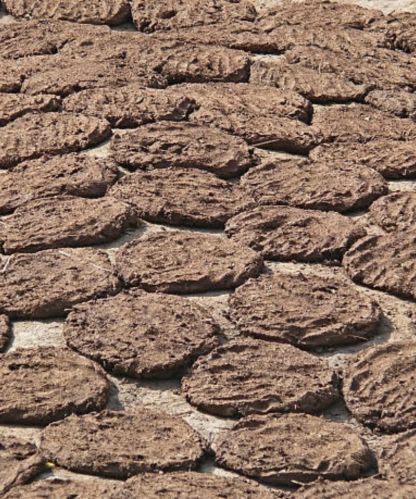 Cow Dung Cake, Color : Brown
