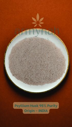 Gmo Psyllium Husk 95% Dried for Food, Healthcare Products, Medicin