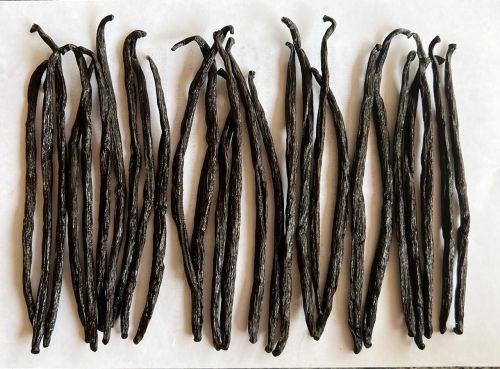 Vanilla Beans, IS IT Organic : Organic