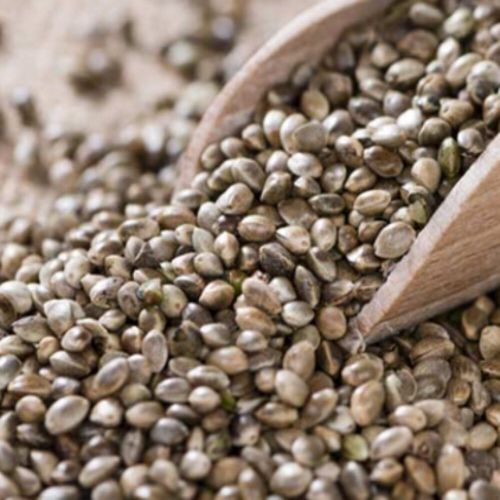 Hemp Seeds, Packaging Type : Light Brown
