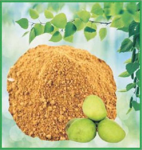 Amchur Powder 2%, Purity : 99%, Packaging Type : Plastic Pouch