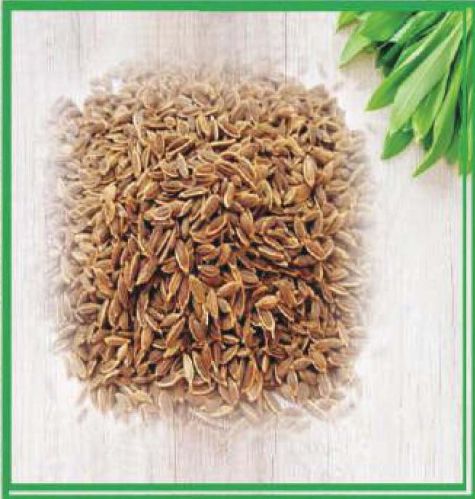 Carom Seeds, Color : Brown, Packaging Size : 5-25kg