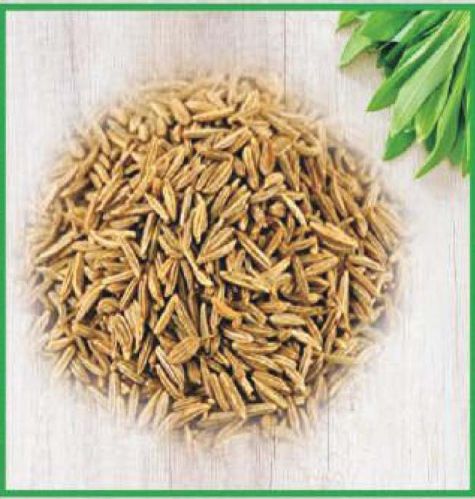 Cumin Seeds, Packaging Type : Sealed Bag 9% Food Grade