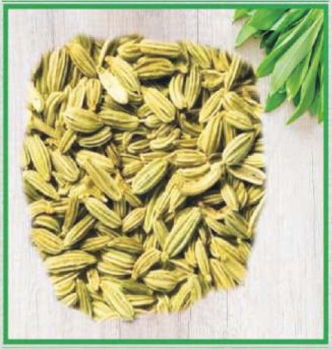 Fennel seeds, Packaging Size : 5-25kg 9%