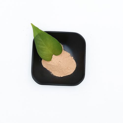 Ginseng Extract, Brand Name : Soarwin, Packaging Type : Light yellow