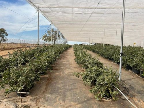 Polyethylene Prefab Double Layer Shade Net House