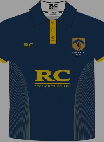 Polyester Mens Sports T-shirt, Color : Customised