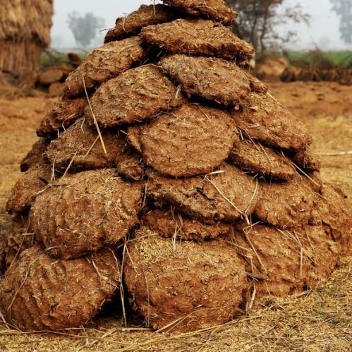 Cow Dung Cake, Color : Brown, Packaging Type : PP Bag for Agriculture