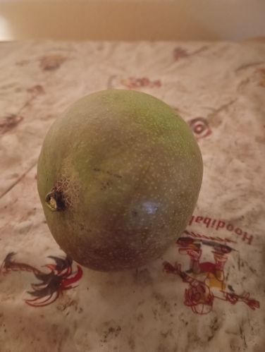 Organic Mango for Juice, Dessert, Sweets