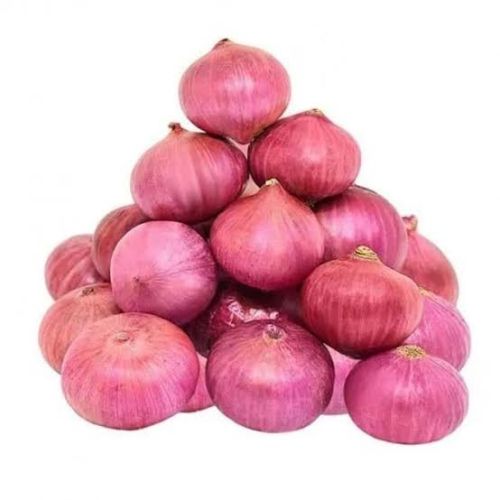 Onions, Cultivation Type : Natural Red