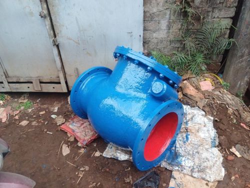 Manual Cast Steel Swing Check Non Return Valve, Brand Name : RSEMC