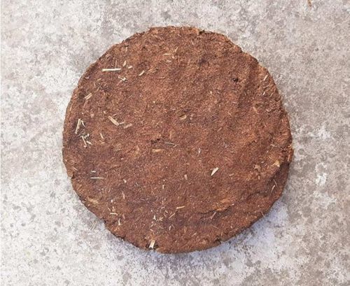 Cow dung cake, Packaging Type : Brown for Religious