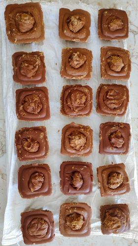 Haii Foods Organic Palm Jaggery Karupatti, Color : Brownish