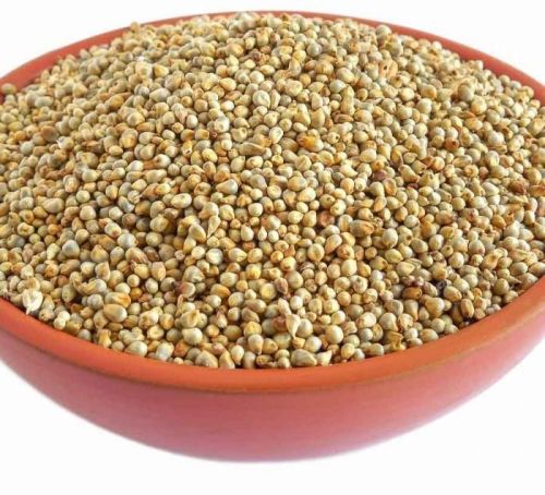 Natural Pearl Millet, Packaging Size : 50Kg, Grade : Feed Grade
