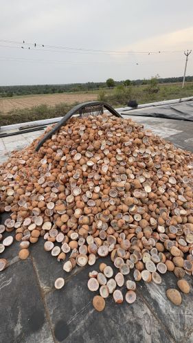 Coconut Copra, Color : White/brown For Cooking, Baking, Snacking