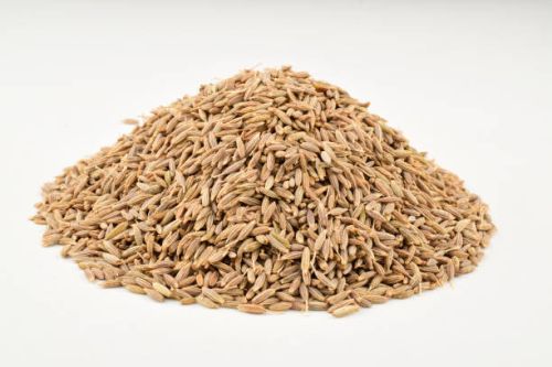 Cumin seeds, Packaging Size : 100g, 500g, Packaging Type : Creamy