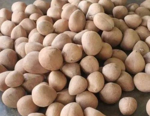 Dry Coconut, Color : Brown, Taste : Light Sweet for Cooking, Snacking