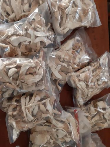 Natural dried mushroom Gunny Bag for Cooking, Food