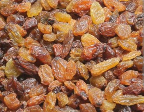 Malayar Raisins for Cooking, Human Consumption