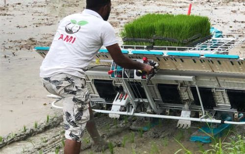 Stainless Steel Rice Transplanter, Brand Name : Wubota