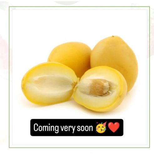 Fruit Bharhi Dates, Color : Dark Brown