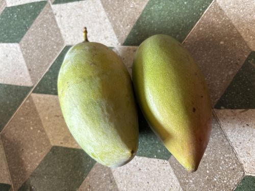 Totapuri Mango, Packaging Type : Loose Or In Boxes for Consumed Fresh