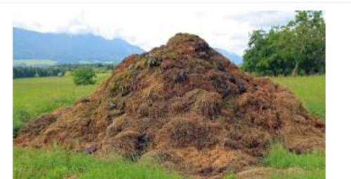 Cow dung, Form : Powder, Packaging Type : Brown