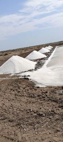 Raw Sea Salt, Packaging Type : Off White, White, Form : Granules