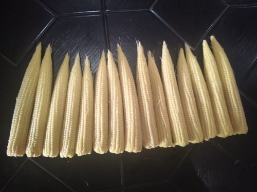 Bebicorn, Packaging Size : 5kg, Packaging Type : Plastic Bag