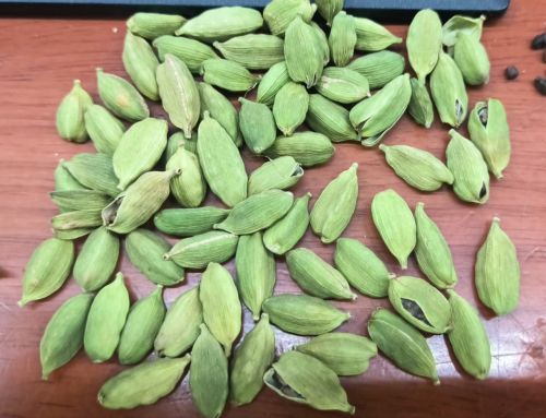 Organic green cardamom Food Grade for Cooking