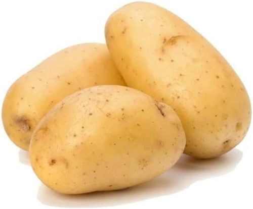 Potato, Cultivation Type : Natural gray