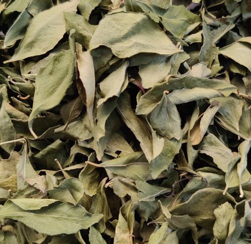 Dehydrated Curry Leaves, Color : Green, Packaging Size : 10Kg, 25Kg