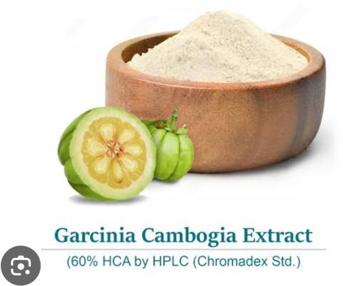 Garcinia Cambogia Extract, Color : White, Form : Powder