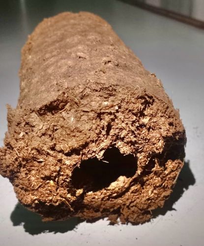 Cow dung, Packaging Type : Brown