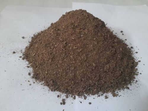 Cow dung powder, Condition : Dry, Packaging Type : Bag Pack